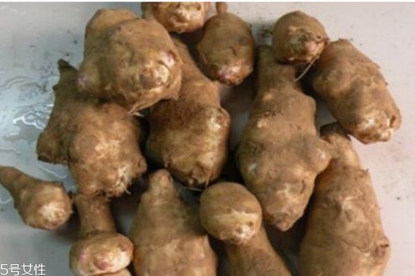 菊芋有什么營(yíng)養(yǎng)價(jià)值呢 菊芋有什么好處呢 菊芋有什么營(yíng)養(yǎng)價(jià)值呢 菊芋有什么好處呢