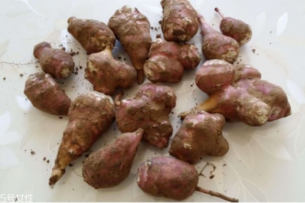 菊芋有什么營(yíng)養(yǎng)價(jià)值呢 菊芋有什么好處呢 菊芋有什么營(yíng)養(yǎng)價(jià)值呢 菊芋有什么好處呢