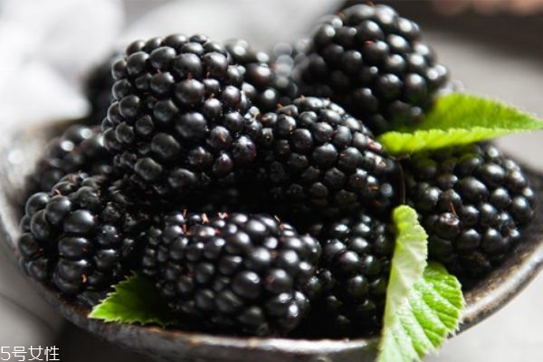 什么是黑莓呢 黑莓有什么營養(yǎng)價值呢 什么是黑莓呢 黑莓有什么營養(yǎng)價值呢