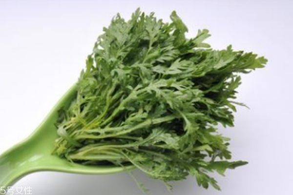 什么是銀絲菜呢 銀絲菜有什么營(yíng)養(yǎng)價(jià)值呢 什么是銀絲菜呢 銀絲菜有什么營(yíng)養(yǎng)價(jià)值呢