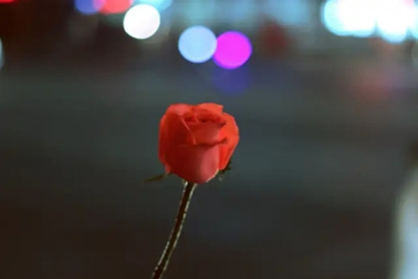 暗戀一個人會有哪些表現(xiàn) 怎么知道自己被異性暗戀了 暗戀一個人會有哪些表現(xiàn) 怎么知道自己被異性暗戀了