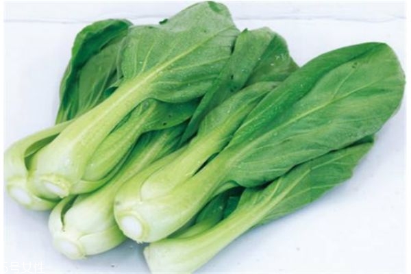 小白菜有什么營(yíng)養(yǎng)價(jià)值呢 吃小白菜有什么好處呢 小白菜有什么營(yíng)養(yǎng)價(jià)值呢 吃小白菜有什么好處呢
