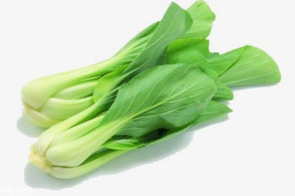 小白菜有什么營(yíng)養(yǎng)價(jià)值呢 吃小白菜有什么好處呢 小白菜有什么營(yíng)養(yǎng)價(jià)值呢 吃小白菜有什么好處呢
