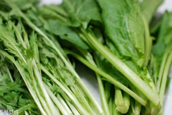 什么是千寶菜呢 千寶菜有什么營(yíng)養(yǎng)價(jià)值呢
