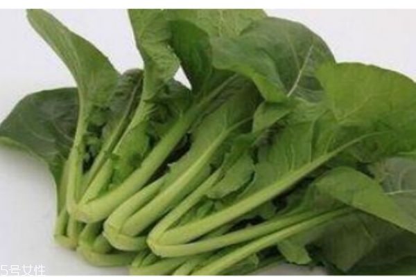 什么是千寶菜呢 千寶菜有什么營(yíng)養(yǎng)價(jià)值呢