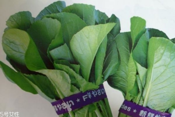 什么是千寶菜呢 千寶菜有什么營(yíng)養(yǎng)價(jià)值呢