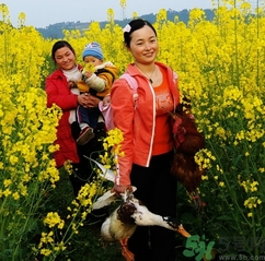 結(jié)婚后可以回娘家嗎？結(jié)婚后多久可以回娘家？