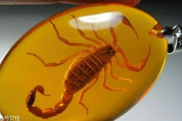 什么是琥珀呢 琥珀有什么作用呢 什么是琥珀呢 琥珀有什么作用呢