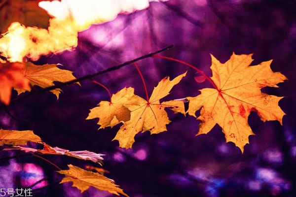 不敢和喜歡的人說(shuō)話(huà)怎么辦 怎么和異性聊天找話(huà)題 不敢和喜歡的人說(shuō)話(huà)怎么辦 怎么和異性聊天找話(huà)題