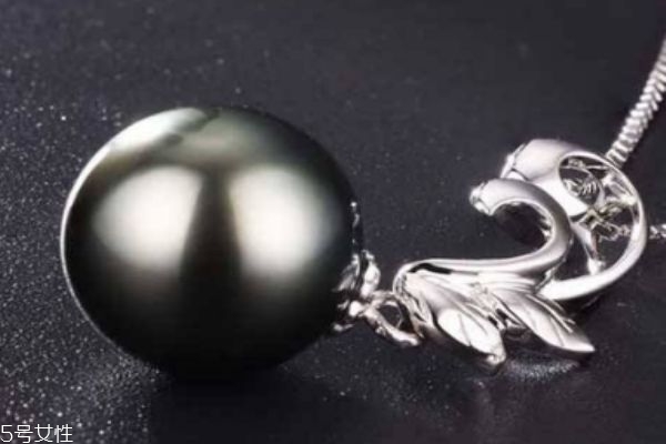 什么是黑珍珠呢 黑珍珠的功效有什么呢 什么是黑珍珠呢 黑珍珠的功效有什么呢