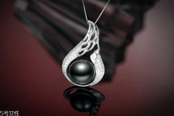 什么是黑珍珠呢 黑珍珠的功效有什么呢 什么是黑珍珠呢 黑珍珠的功效有什么呢