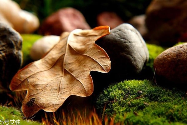 該不該和現(xiàn)任坦白過去 怎么看男友心里有沒有前任 該不該和現(xiàn)任坦白過去 怎么看男友心里有沒有前任