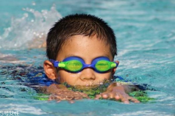 什么是食腦蟲呢 食腦蟲生長(zhǎng)在哪里呢 什么是食腦蟲呢 食腦蟲生長(zhǎng)在哪里呢