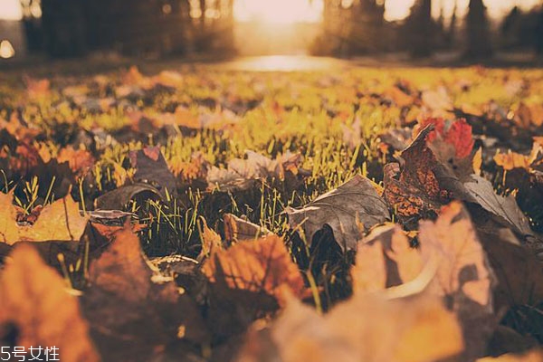 學(xué)歷會(huì)不會(huì)影響戀愛 影響戀愛的因素有哪些 學(xué)歷會(huì)不會(huì)影響戀愛 影響戀愛的因素有哪些