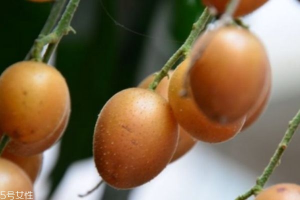 黃皮有什么營養(yǎng)價值呢 吃黃皮有什么作用呢 黃皮有什么營養(yǎng)價值呢 吃黃皮有什么作用呢