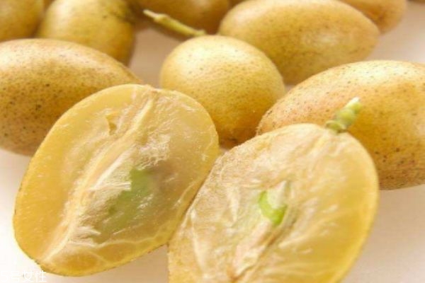 吃黃皮有什么注意的嗎 什么人群不能吃黃皮呢 吃黃皮有什么注意的嗎 什么人群不能吃黃皮呢