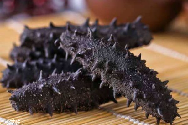 海參有什么營養(yǎng)價(jià)值呢 吃海參有什么好處呢