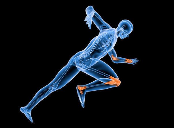 氨糖軟骨素是什么？日常生活中如何補(bǔ)充氨糖軟骨素