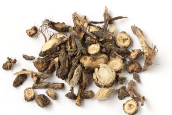 前胡應該怎么服用呢 前胡有什么服用禁忌嗎 前胡應該怎么服用呢 前胡有什么服用禁忌嗎