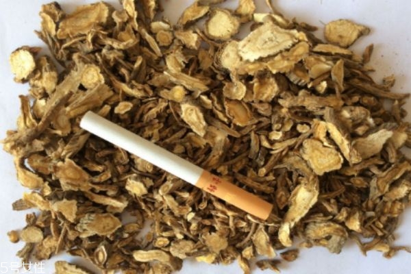 前胡應該怎么服用呢 前胡有什么服用禁忌嗎 前胡應該怎么服用呢 前胡有什么服用禁忌嗎