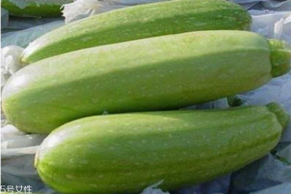 什么是北瓜呢 北瓜有什么營(yíng)養(yǎng)價(jià)值呢 什么是北瓜呢 北瓜有什么營(yíng)養(yǎng)價(jià)值呢