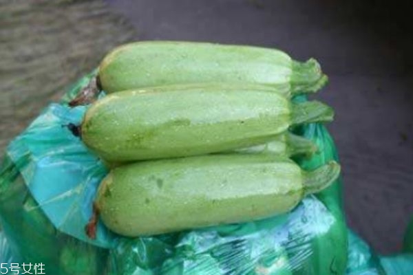 什么是北瓜呢 北瓜有什么營(yíng)養(yǎng)價(jià)值呢 什么是北瓜呢 北瓜有什么營(yíng)養(yǎng)價(jià)值呢