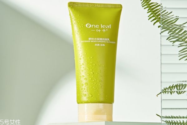 一葉子鮮補水潔面乳好不好 一葉子鮮補水潔面乳價格 一葉子鮮補水潔面乳好不好 一葉子鮮補水潔面乳價格