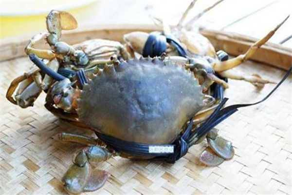 清蒸青蟹怎樣不會掉腳 青蟹容易掉腳什么原因 清蒸青蟹怎樣不會掉腳 青蟹容易掉腳什么原因