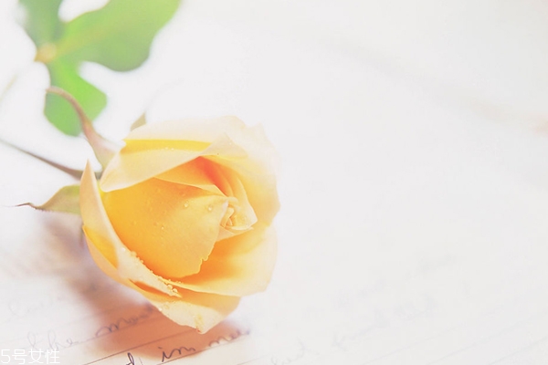 網(wǎng)戀怎么維系感情 網(wǎng)戀靠譜嗎 網(wǎng)戀怎么維系感情 網(wǎng)戀靠譜嗎