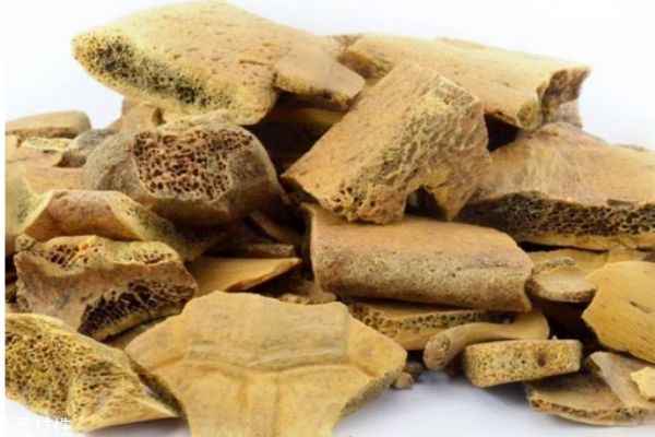 什么是龜甲呢 龜甲有什么營養(yǎng)價(jià)值呢