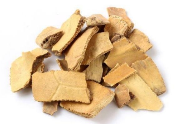 什么是龜甲呢 龜甲有什么營養(yǎng)價(jià)值呢