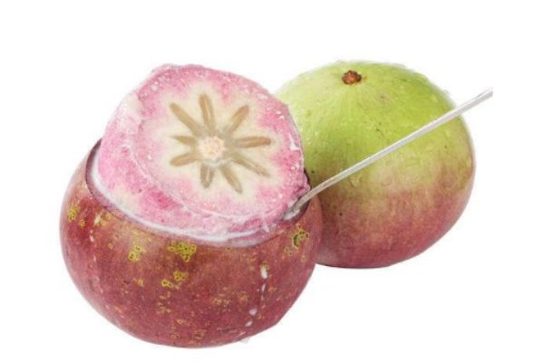 什么是牛奶果呢 牛奶果有什么營(yíng)養(yǎng)價(jià)值呢 什么是牛奶果呢 牛奶果有什么營(yíng)養(yǎng)價(jià)值呢