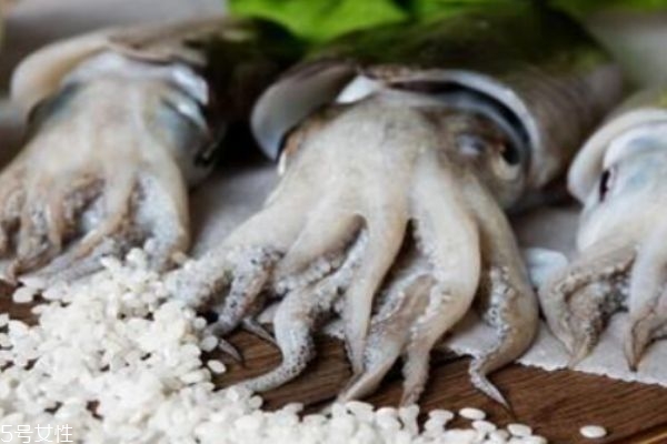 墨魚是魚嗎 墨魚有什么營養(yǎng)價值呢 墨魚是魚嗎 墨魚有什么營養(yǎng)價值呢