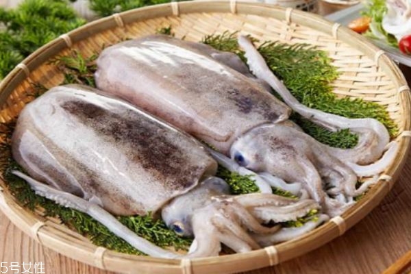墨魚是魚嗎 墨魚有什么營養(yǎng)價值呢 墨魚是魚嗎 墨魚有什么營養(yǎng)價值呢