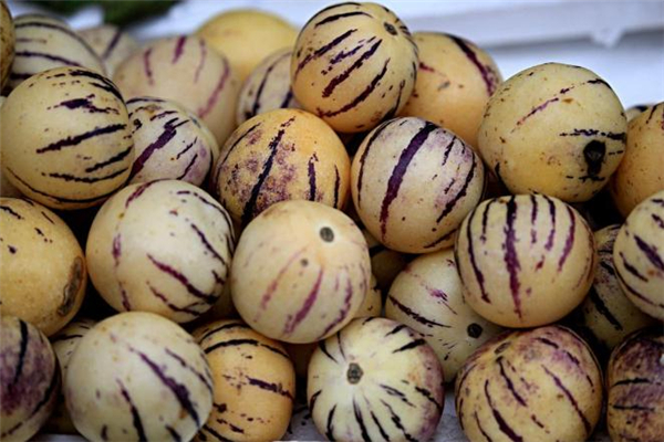 人參果怎么催熟 人參果曬太陽能快熟嗎 人參果怎么催熟 人參果曬太陽能快熟嗎