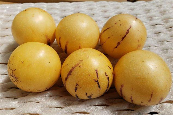 人參果吃硬的還是軟的 人參果要放軟才能吃嗎 人參果吃硬的還是軟的 人參果要放軟才能吃嗎