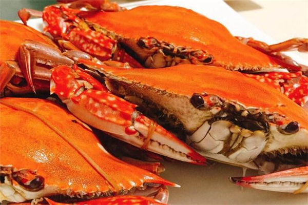 梭子蟹為什么肉很爛 梭子蟹肉吃起來粉粉的什么情況 梭子蟹為什么肉很爛 梭子蟹肉吃起來粉粉的什么情況