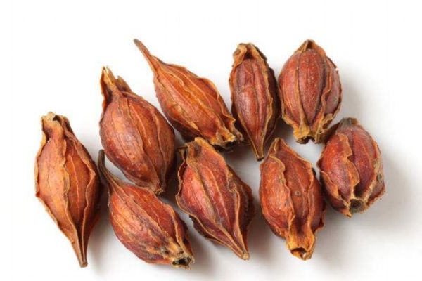 什么是黃梔子呢 黃梔子有什么作用呢 什么是黃梔子呢 黃梔子有什么作用呢