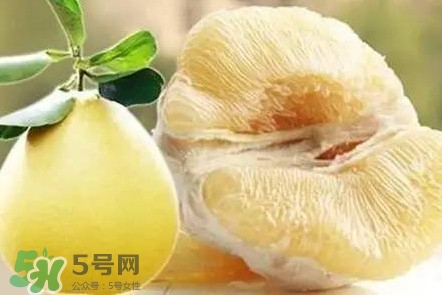 蜜柚是哪個(gè)季節(jié)的水果？蜜柚和沙田柚的區(qū)別是什么？