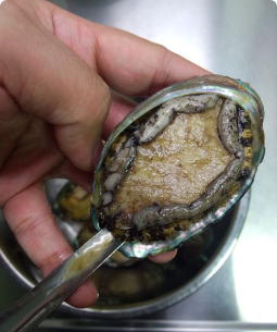 鮑魚怎么吃簡(jiǎn)單又營養(yǎng) 餐桌上的美食