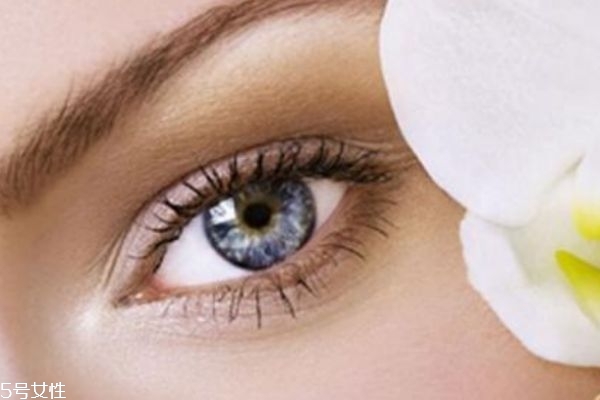 眼霜應(yīng)該從什么時(shí)候就開始使用呢 眼霜有什么作用呢 眼霜應(yīng)該從什么時(shí)候就開始使用呢 眼霜有什么作用呢