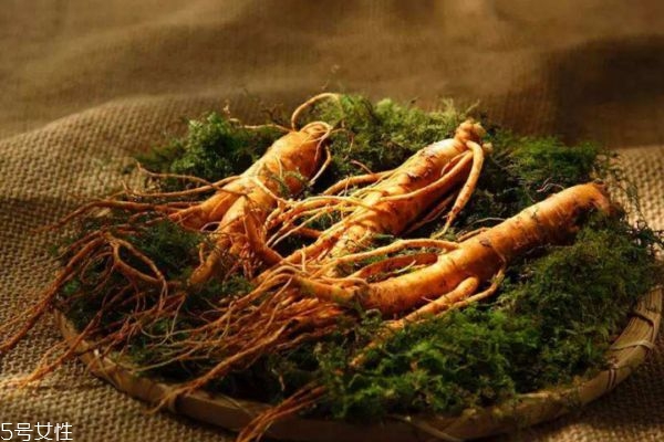 人參的食用方法有什么呢 人參為什么會(huì)跑呢 人參的食用方法有什么呢 人參為什么會(huì)跑呢