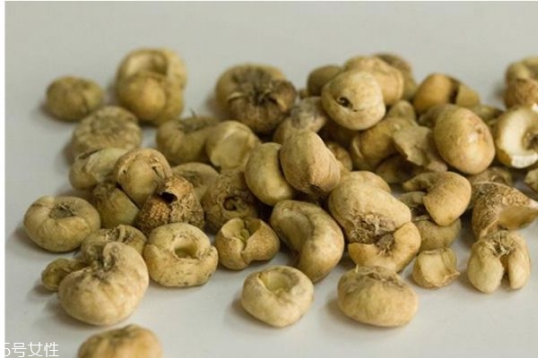 川貝有什么營養(yǎng)價(jià)值呢 川貝有什么作用呢