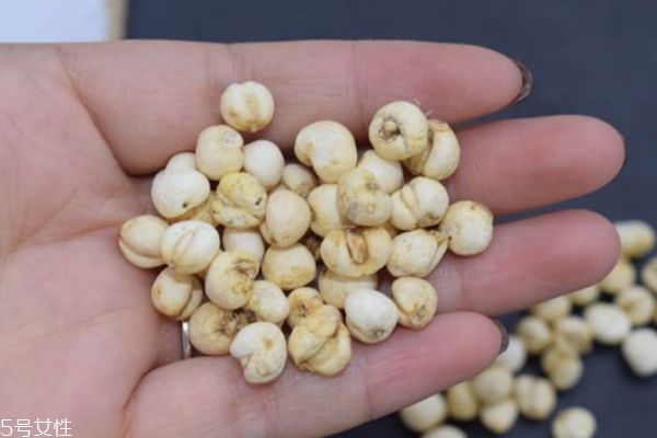 川貝的食用方法有什么呢 川貝的食用有什么注意的呢 川貝的食用方法有什么呢 川貝的食用有什么注意的呢