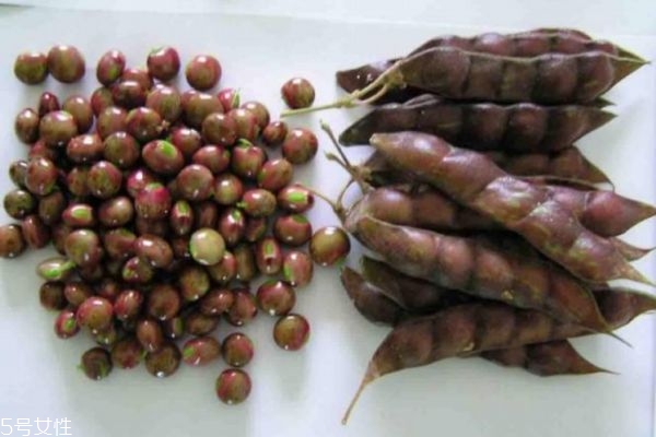 木豆有什么食用禁忌呢 什么人群不能吃木豆呢 木豆有什么食用禁忌呢 什么人群不能吃木豆呢