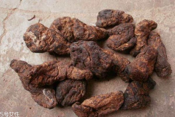 什么是地黃呢 地黃有什么作用呢 什么是地黃呢 地黃有什么作用呢