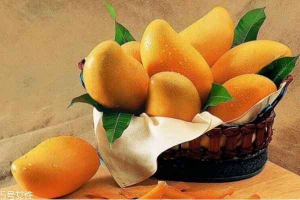 孕婦吃芒果可以嗎 孕婦吃芒果有什么好處和壞處 孕婦吃芒果可以嗎 孕婦吃芒果有什么好處和壞處