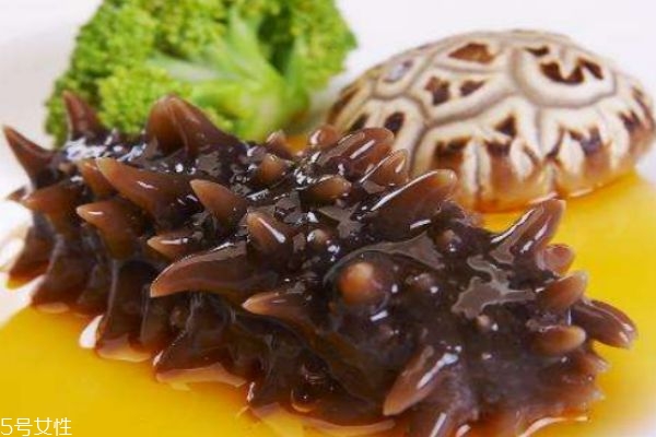 孕期每天吃海參好嗎 孕期吃海鮮的誤區(qū) 孕期每天吃海參好嗎 孕期吃海鮮的誤區(qū)