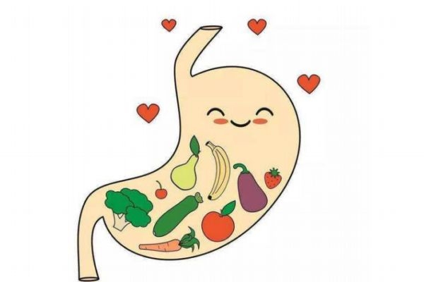 腸胃不好有什么危害呢 腸胃不好會怎么樣呢 腸胃不好有什么危害呢 腸胃不好會怎么樣呢