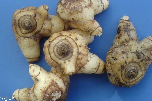 白芨有什么作用呢 吃白芨有什么好處呢 白芨有什么作用呢 吃白芨有什么好處呢